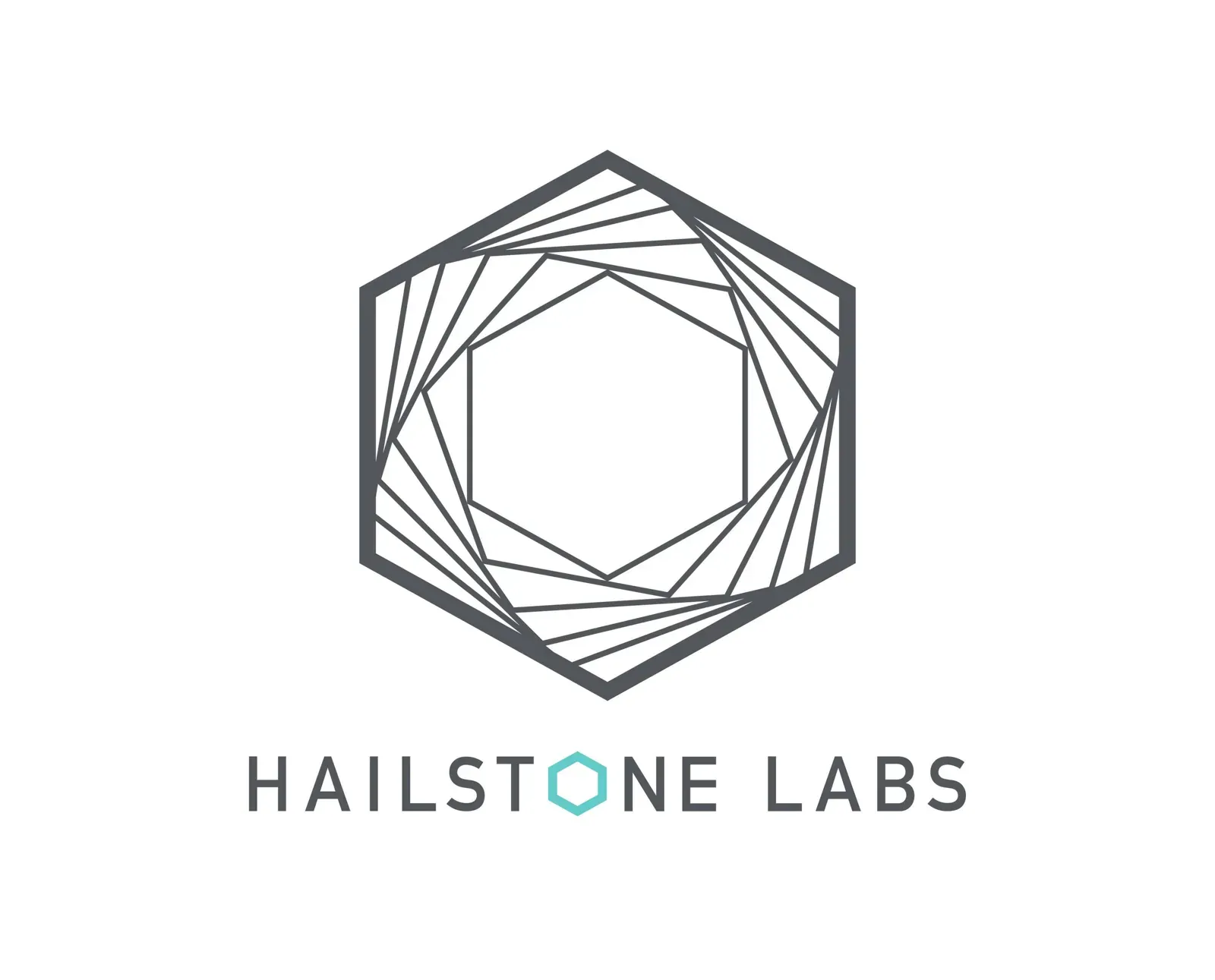 Hailstone Labs 