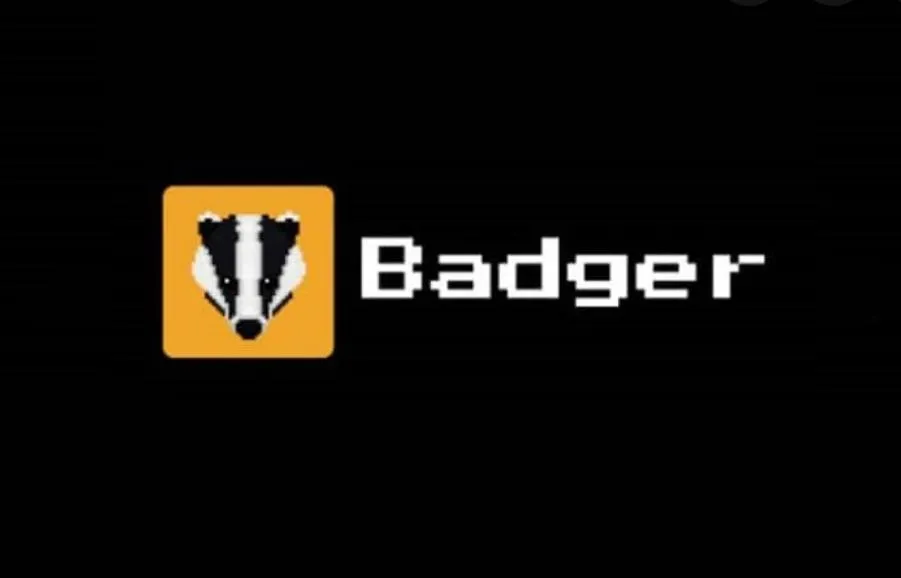 Badger DAO用户被盗超1.2亿美元：“批准”权限被恶意使用导致的惨案