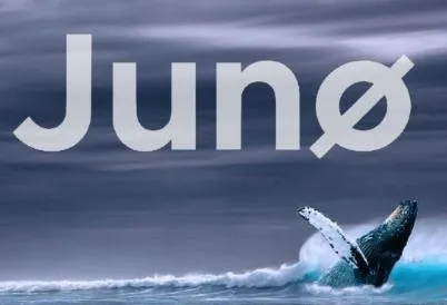 复盘 Juno 没收日本巨鲸 Token 始末：DAO 治理的缺陷与改进
