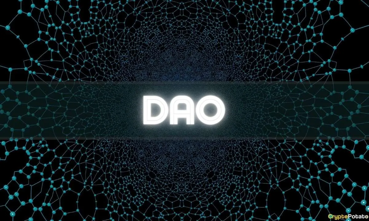 开放的 DAO 网络：一种探索未知的全新范式