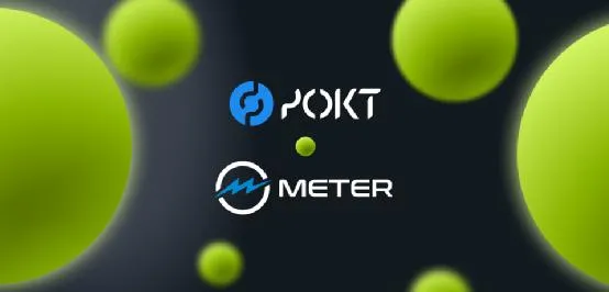 Pocket Network 已支持 Meter，一个快速发展的 1 层区块链
