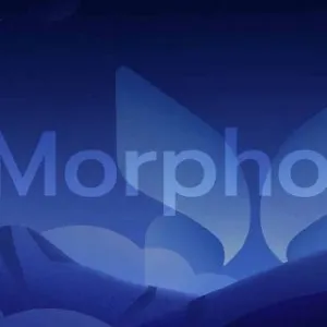 快速成长的 Morpho，会是 Aave 的潜在对手吗？