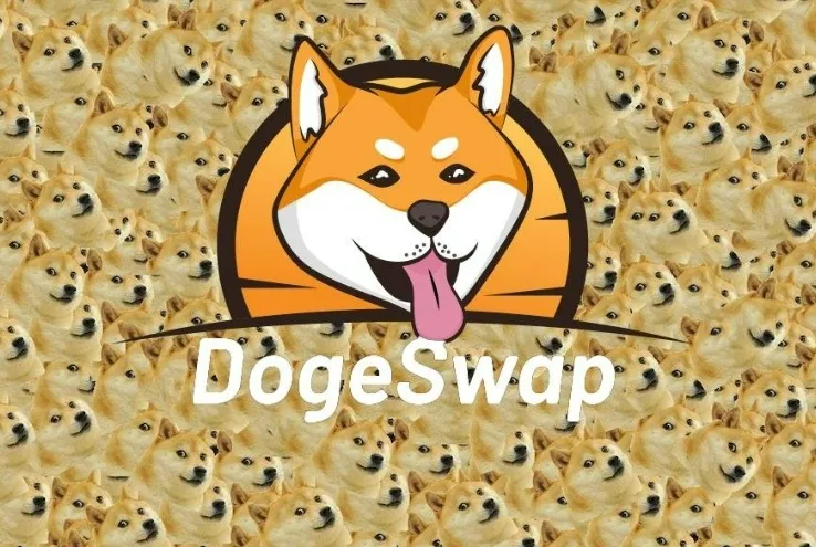 0xDogeSwap：Doge 链上跨协议的铭文聚合交易平台