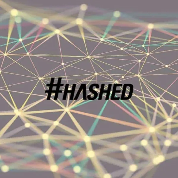Hashed 2024 年展望：比特币生态基建爆发、AI 与区块链融合持续推进