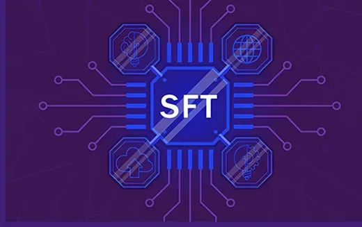 半同质化资产赛道 SFT 还能有哪些创新玩法？