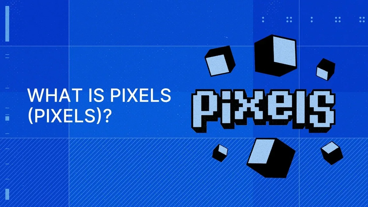 一文了解即将上线币安的 Pixels ：基于 Ronin Network 的像素风社交 Web3 游戏