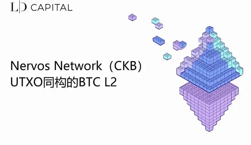 Nervos Network(CKB)：UTXO 同构的 BTC L2