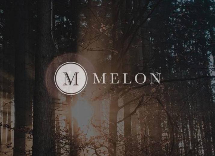 DeFi 资产管理赛道受热捧， Melon 潜力与掣肘在哪？