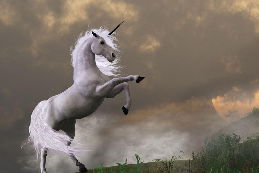 CoinDCX secures $90 million funding to become a unicorn, is spring coming for the Indian crypto market?