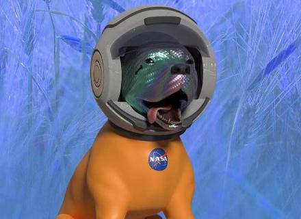 Messari: What subcategories in the NFT market are worth paying attention to?