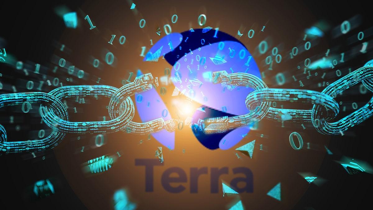 经验与教训:回顾Terra帝国的崛起与崩溃