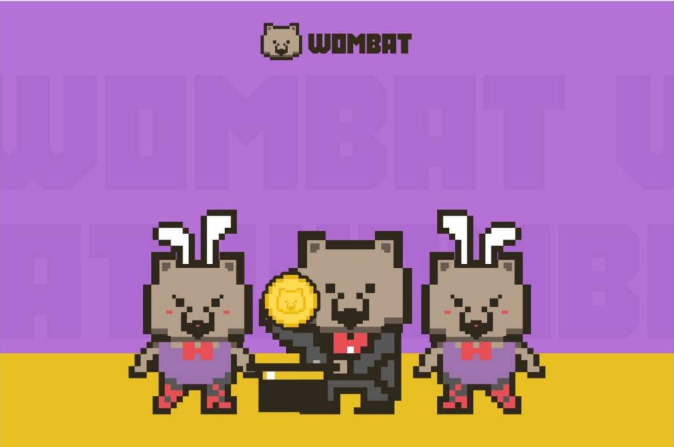 Understanding the Wombat Protocol in One Article: How It Innovates the Stablecoin Exchange Experience