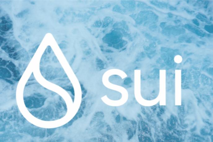 메타 계열 블록체인 Aptos와 Sui의 차이점 심층 분석