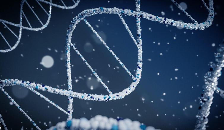 Decentralized Scientific Ecosystem: Building a Better Economy for Scientific Research