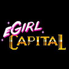 eGirl Capital：2024 전망 및 2023 요약