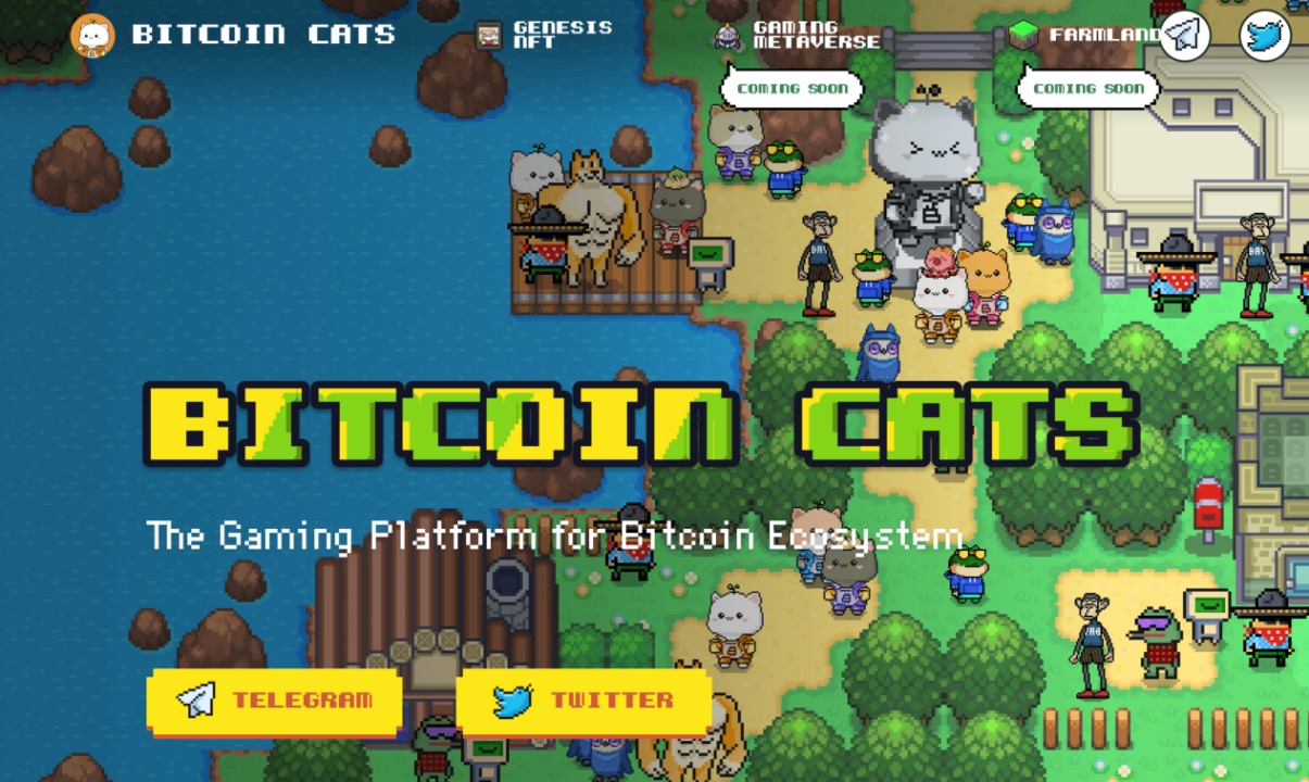Bitcoin Cats之外，还有哪些值得关注的比特币链游项目？