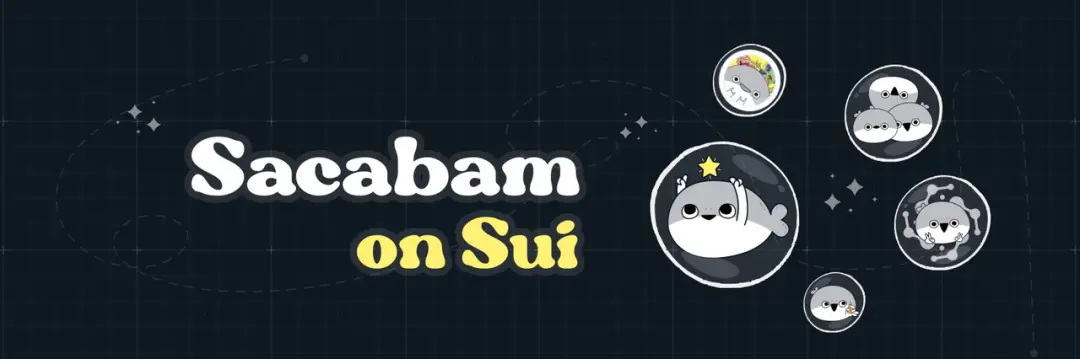 全面揭秘Sui的生态发展和布局