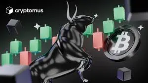 왜 이번 상승장이 더 멀리 갈 수 있을까? 진정한 위험은 어디에 있을까?