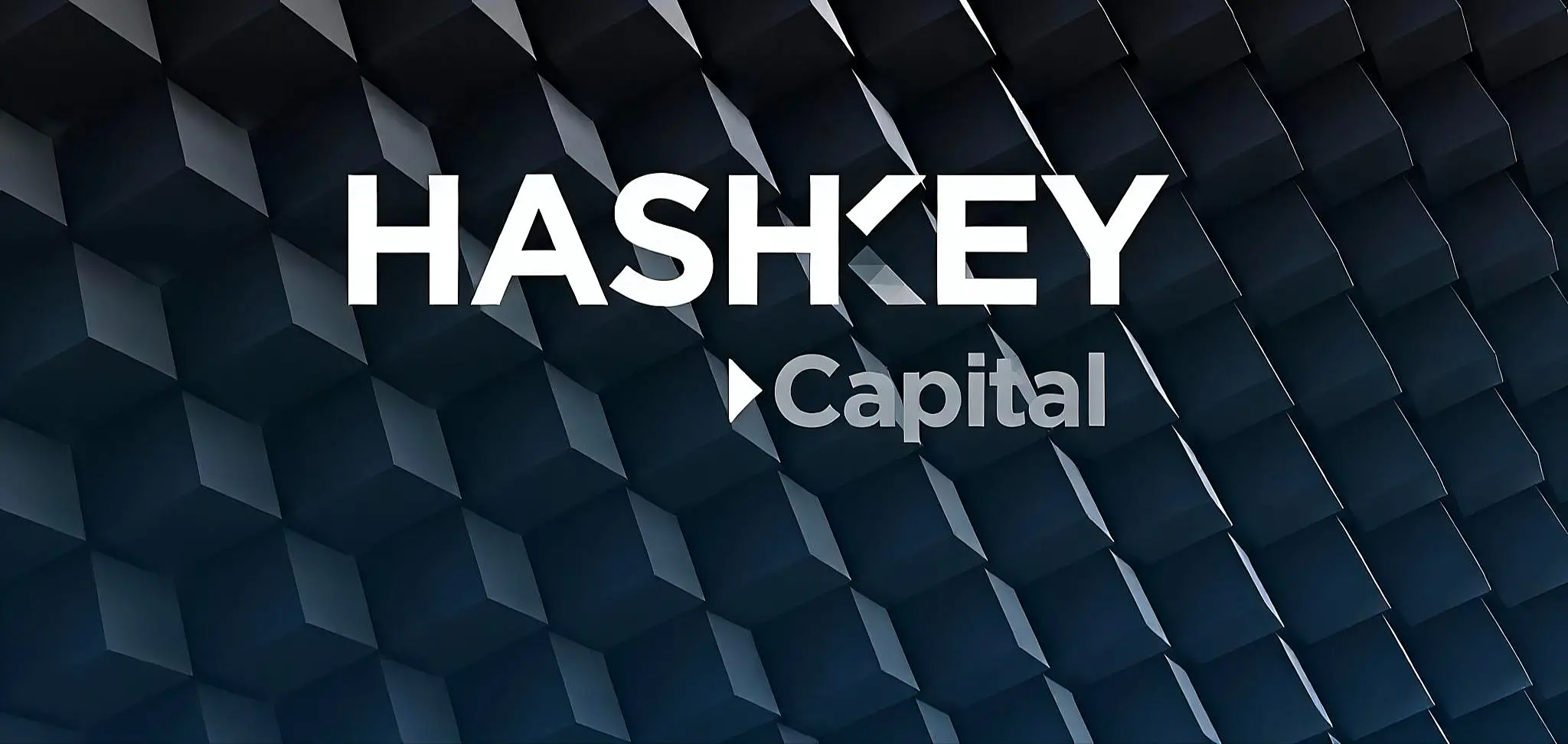 对话 Hashkey Capital 合伙人 Xiao Xiao：3 个月完成 2.5 亿美元募资背后的故事与关键思考