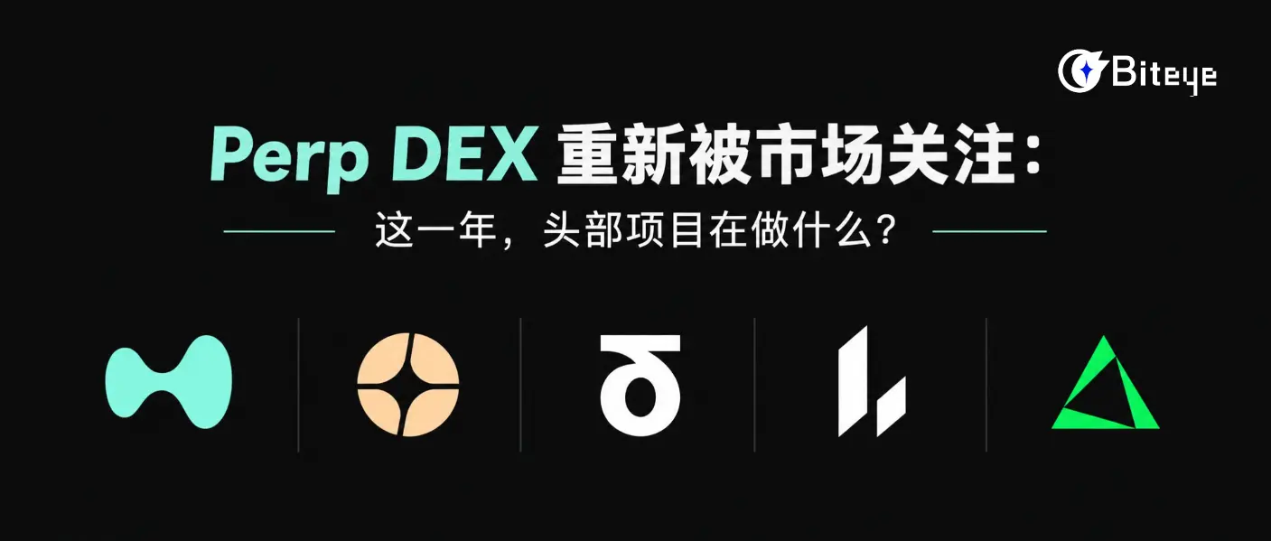  Perp DEX 重新被市场关注：这一年，头部项目在做什么？ 