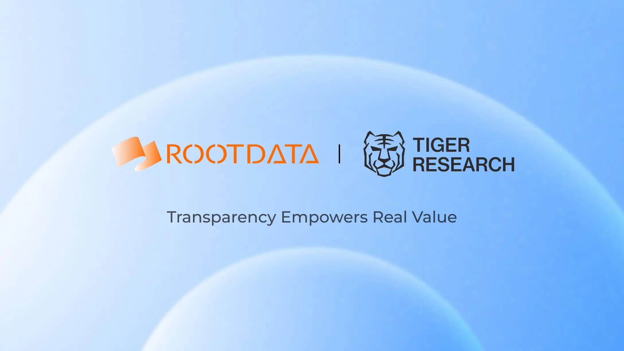 RootData has established a strategic partnership with Tiger Research, a leading cryptocurrency research institution in South Korea