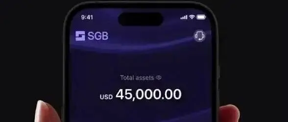 大行与 Crypto 之间，长出了一家 SGB 配图