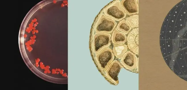 看了招股书，我终于知道为什么 Anthropic 不在乎用户了 配图